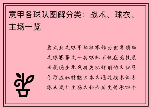 意甲各球队图解分类：战术、球衣、主场一览